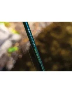 Guru N-Gauge Specimen Duel Tip 12"1.5LB